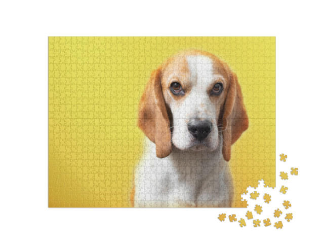 Puzzle 1000 pezzi „Ritratto di un beagle“