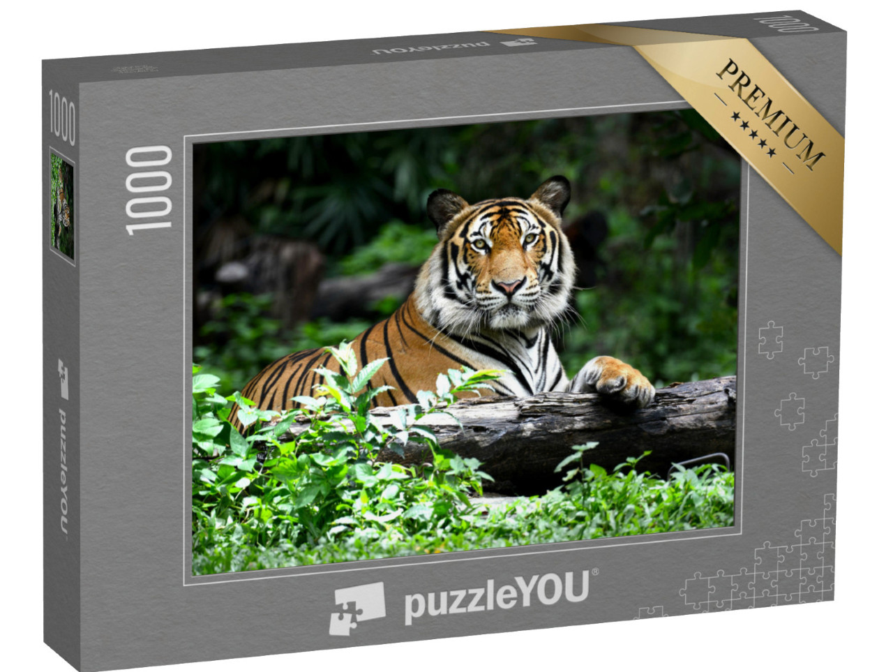 Puzzle 1000 pezzi „Tigre del Bengala“