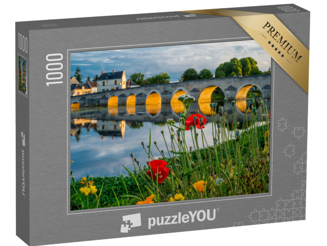 Puzzle 1000 pezzi „Montrichard, Valle della Loira, Francia“