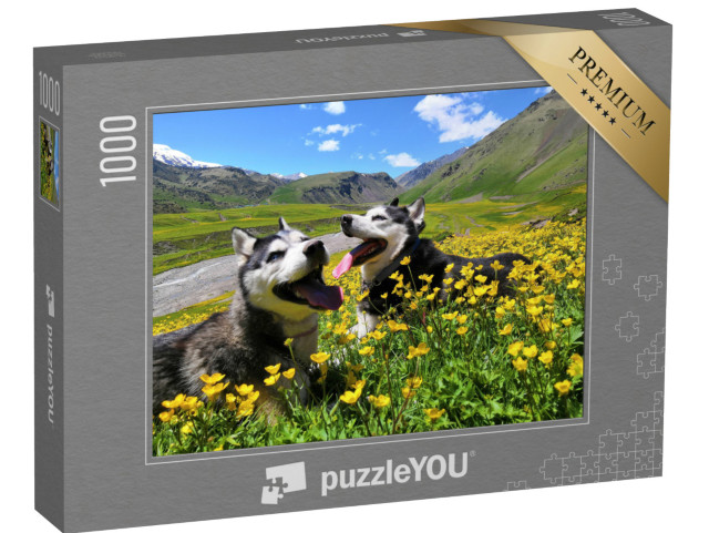 Puzzle 1000 pezzi „Due husky siberiani sulle montagne del Caucaso“