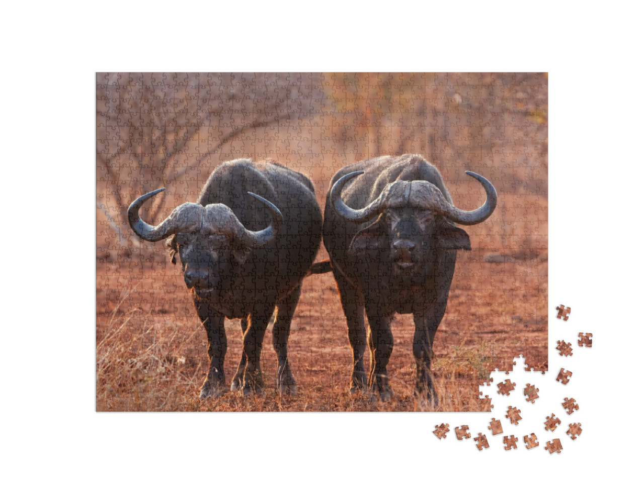 Puzzle 1000 pezzi „Bufalo africano, bufalo del Capo, Parco nazionale Kruger, Sudafrica“