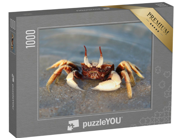 Puzzle 1000 pezzi „Granchio dall'occhio fantasma nel mare“