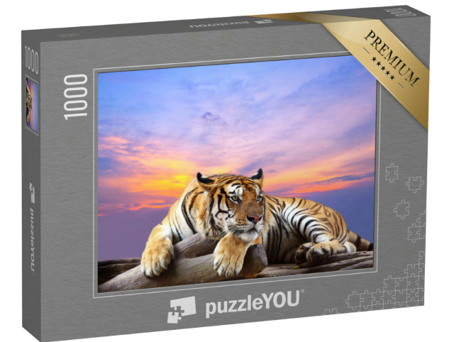 Puzzle 1000 pezzi „Una tigre attenta“