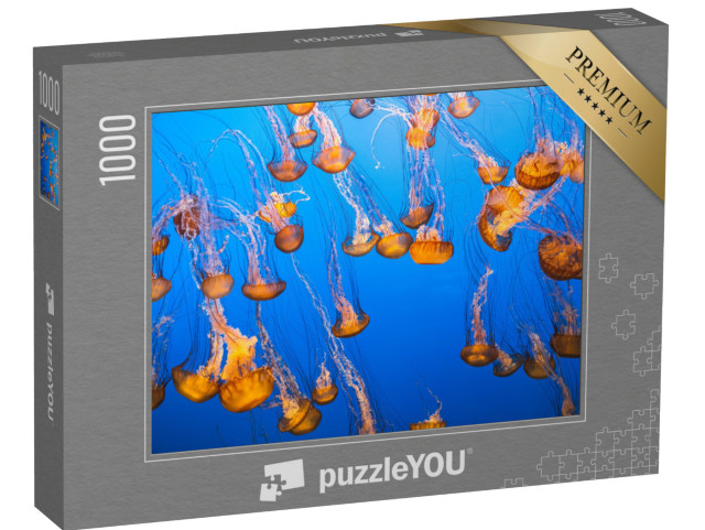 Puzzle 1000 pezzi „Un gruppo di meduse nell'acqua inondata di luce“