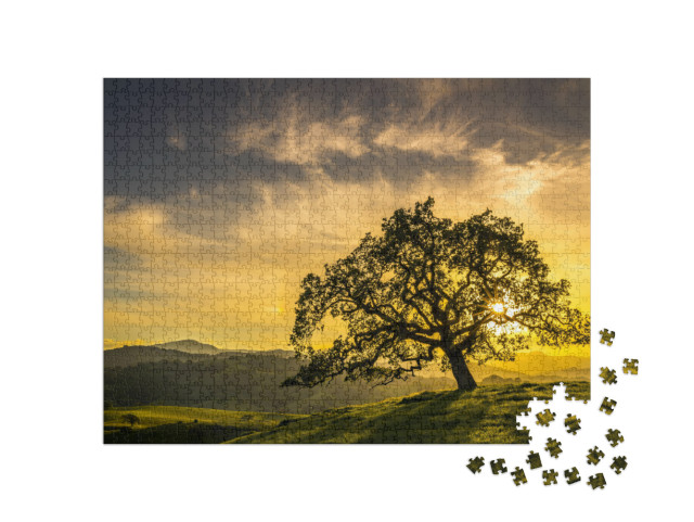 Puzzle 1000 pezzi „Tramonto attraverso una quercia vicino a San Jose, California“