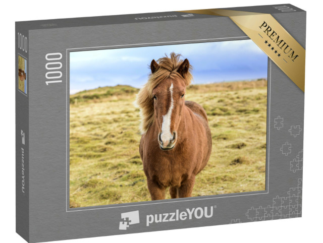 Puzzle 1000 pezzi „Pony islandese in libertà“