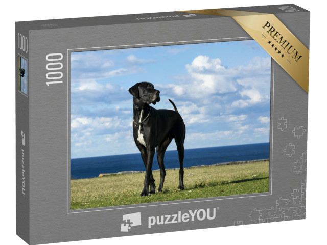 Puzzle 1000 pezzi „Alano in riva al mare“