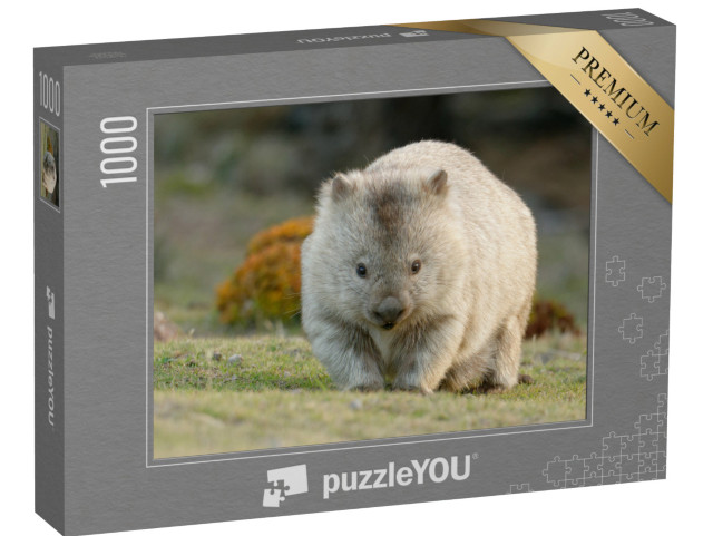 Puzzle 1000 pezzi „Vombato australiano, noto anche come orso a pelo ruvido o orso dal naso nudo“