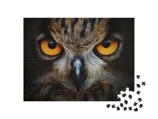 Puzzle 1000 pezzi „Il ritratto di un gufo“