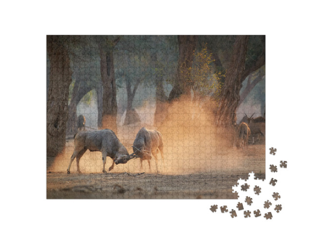 Puzzle 1000 pezzi „Eland, Taurotragus oryx, Zimbabwe“