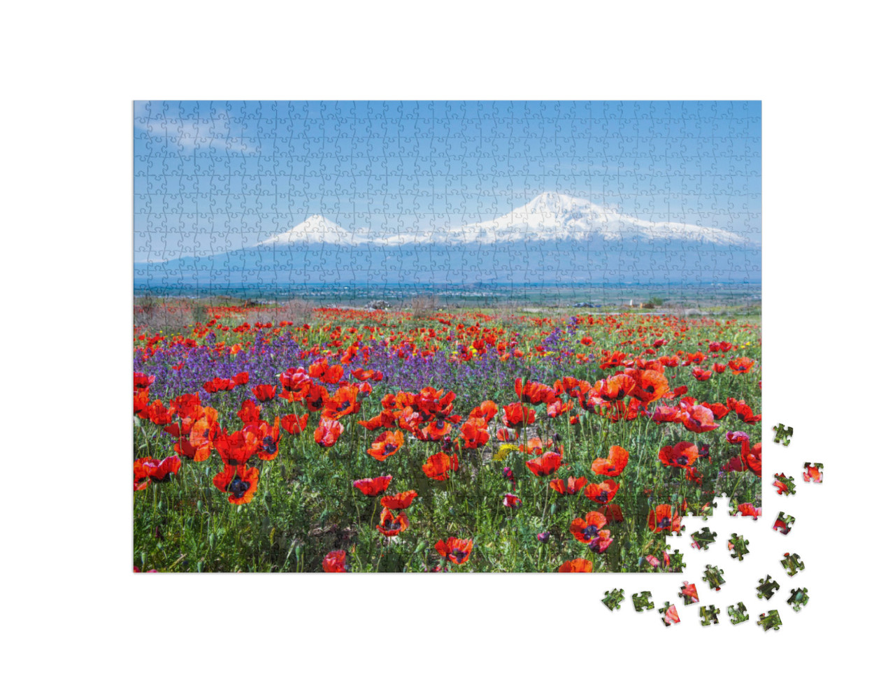 Puzzle 1000 pezzi „Il Monte Ararat in Turchia“