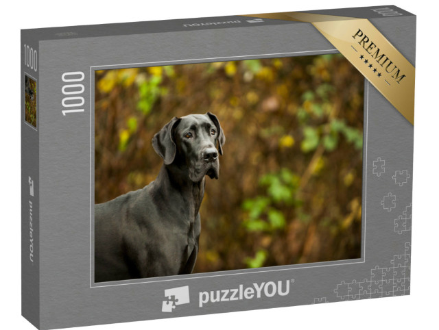Puzzle 1000 pezzi „L'alano si trova davanti alla vegetazione“