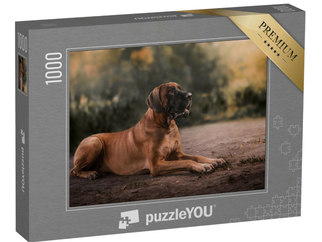 Puzzle 1000 pezzi „L'alano“
