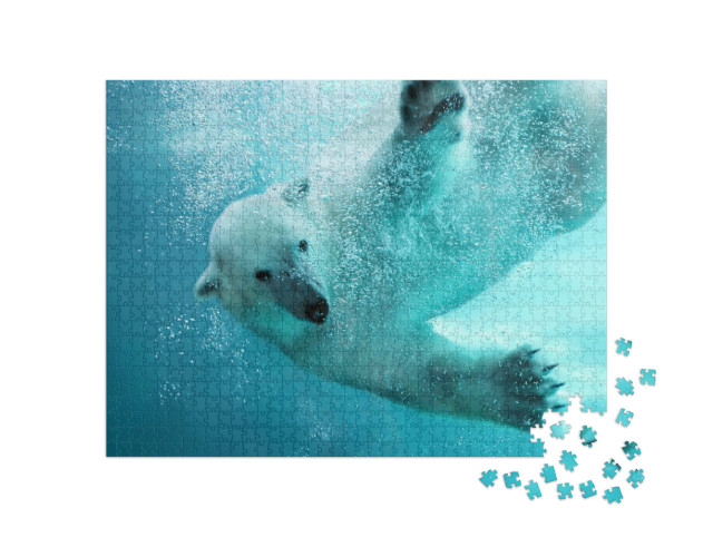Puzzle 1000 pezzi „Orso polare all'attacco sott'acqua“