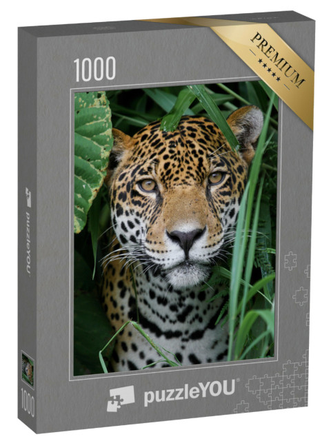 Puzzle 1000 pezzi „Il giaguaro nella giungla amazzonica“