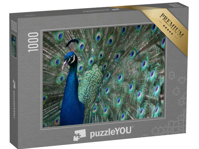 Puzzle 1000 pezzi „Un pavone con le piume allungate“