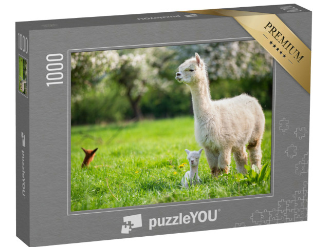 Puzzle 1000 pezzi „Un alpaca bianco con cuccioli“