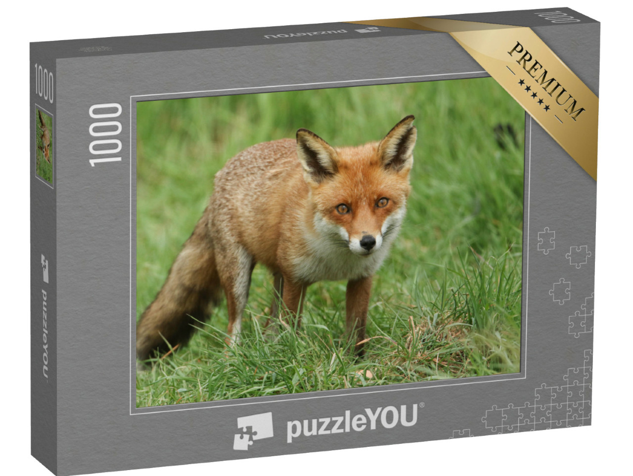 Puzzle 1000 pezzi „Magnifica volpe rossa selvatica“