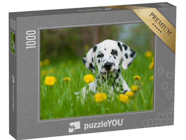 Puzzle 1000 pezzi „Dalmata“