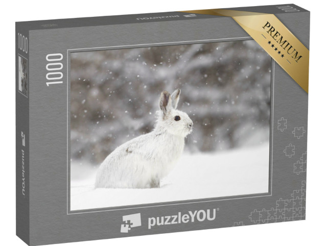 Puzzle 1000 pezzi „Lepre bianca in un turbine di neve, Canada“