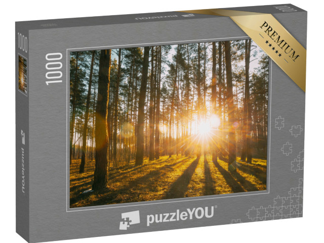 Puzzle 1000 pezzi „Raggi di sole nella foresta“