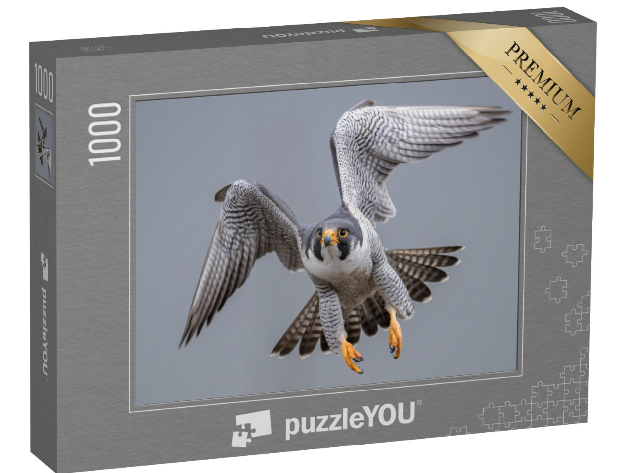 Puzzle 1000 pezzi „Falco pellegrino in volo“