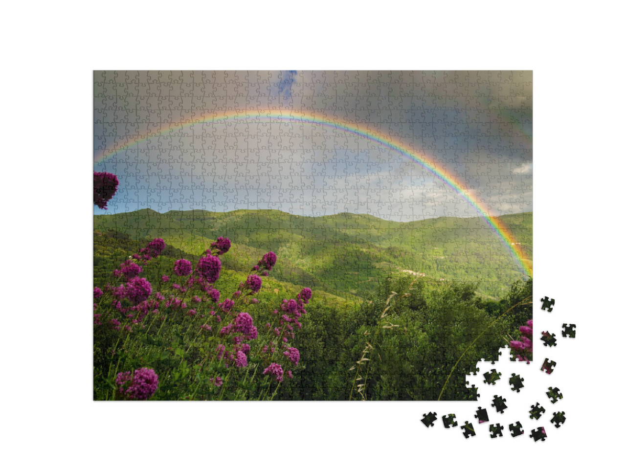 Puzzle 1000 pezzi „Bellissimo arcobaleno dopo la tempesta“