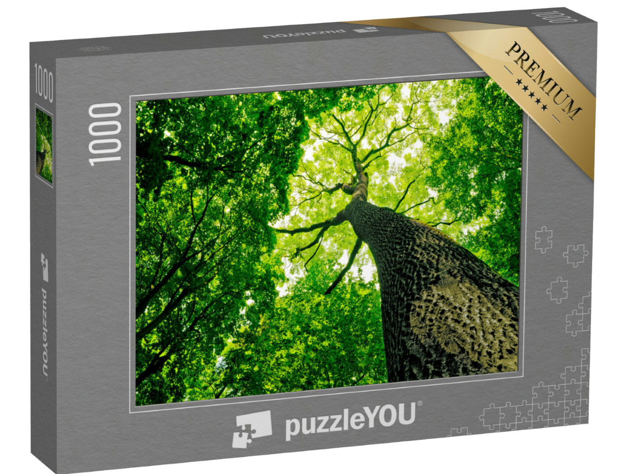 Puzzle 1000 pezzi „Foresta naturale“