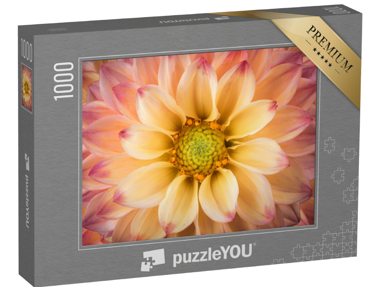 Puzzle 1000 pezzi „Un primo piano di una dalia“