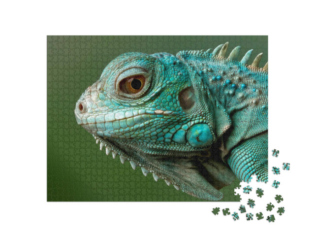 Puzzle 1000 pezzi „Iguana blu“