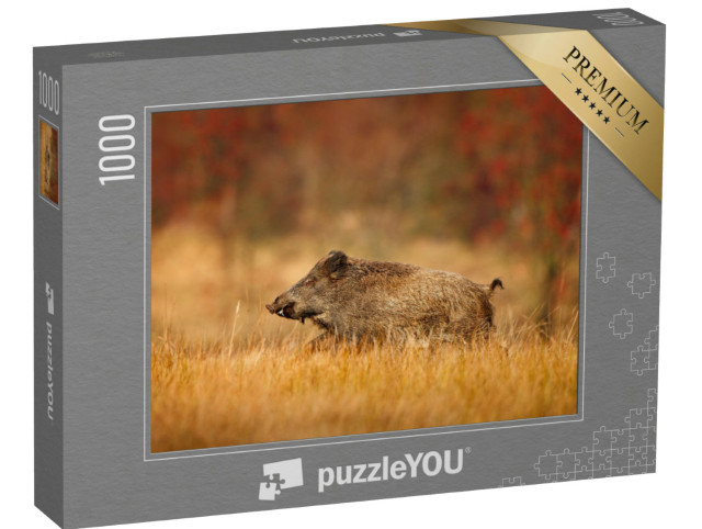 Puzzle 1000 pezzi „Grande cinghiale che corre in un prato“