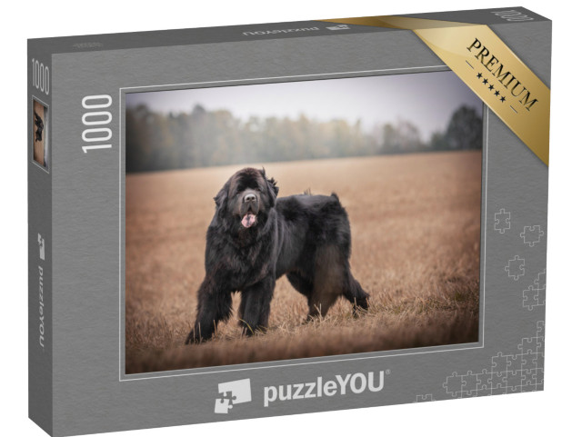 Puzzle 1000 pezzi „Terranova nero in natura“