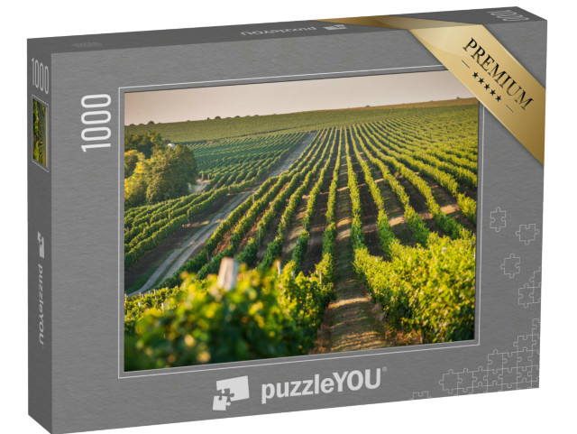 Puzzle 1000 pezzi „Vigneto per la coltivazione dell'uva in estate“