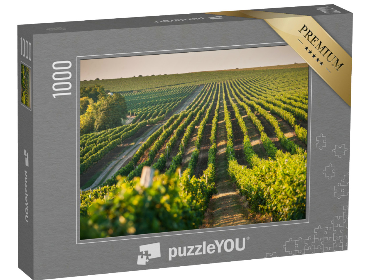 Puzzle 1000 pezzi „Vigneto per la coltivazione dell'uva in estate“