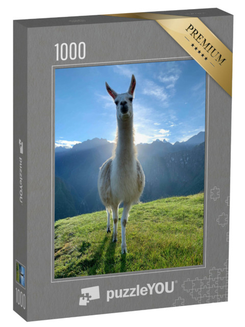 Puzzle 1000 pezzi „Un lama bianco sulle Ande, in Perù“