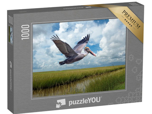 Puzzle 1000 pezzi „Pellicano bruno in volo sulle paludi vicino a Grand Isle, Louisiana“