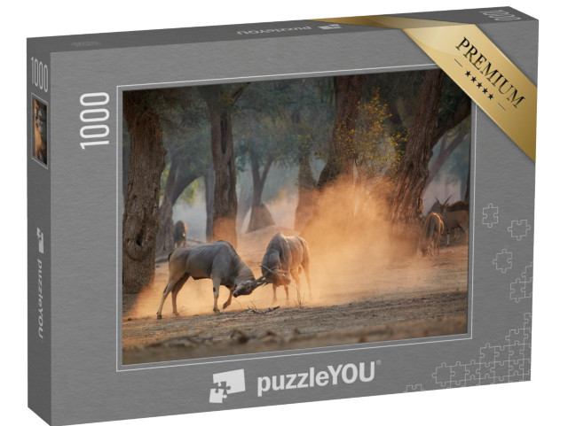 Puzzle 1000 pezzi „Eland, Taurotragus oryx, Zimbabwe“