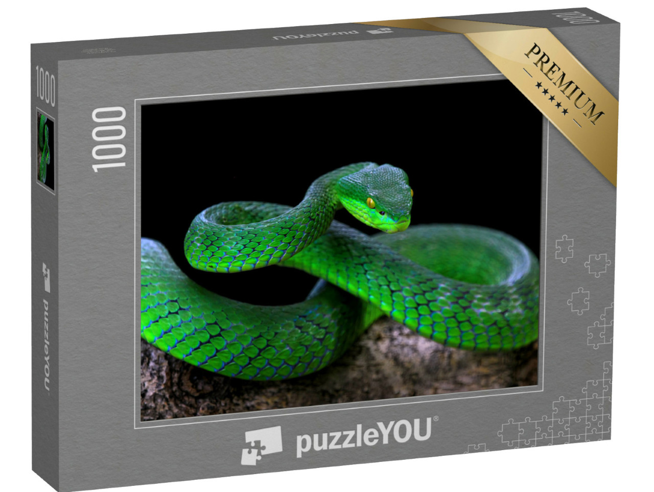 Puzzle 1000 pezzi „Serpente verde albolare“