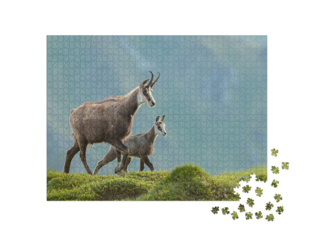 Puzzle 1000 pezzi „Madre camoscio con i suoi piccoli sul prato di montagna“