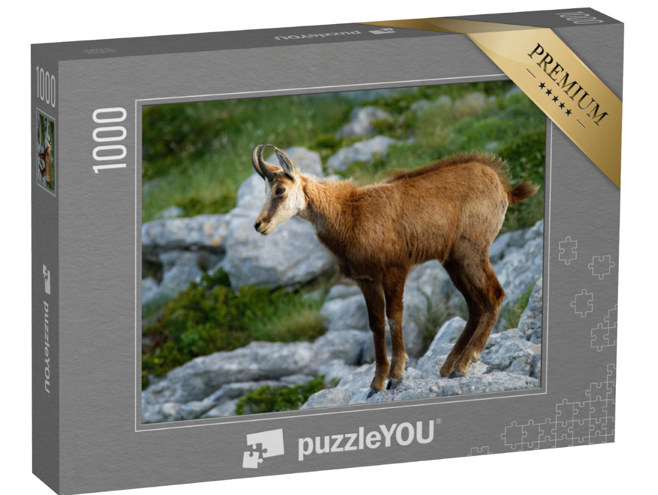 Puzzle 1000 pezzi „Camoscio nel Parco Naturale di Biokovo, Croazia“