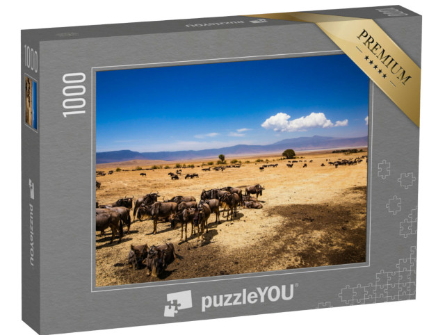 Puzzle 1000 pezzi „Cratere di Ngorongoro in Tanzania“