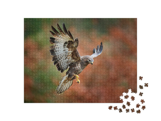 Puzzle 1000 pezzi „Una maestosa poiana si avvicina all'atterraggio“