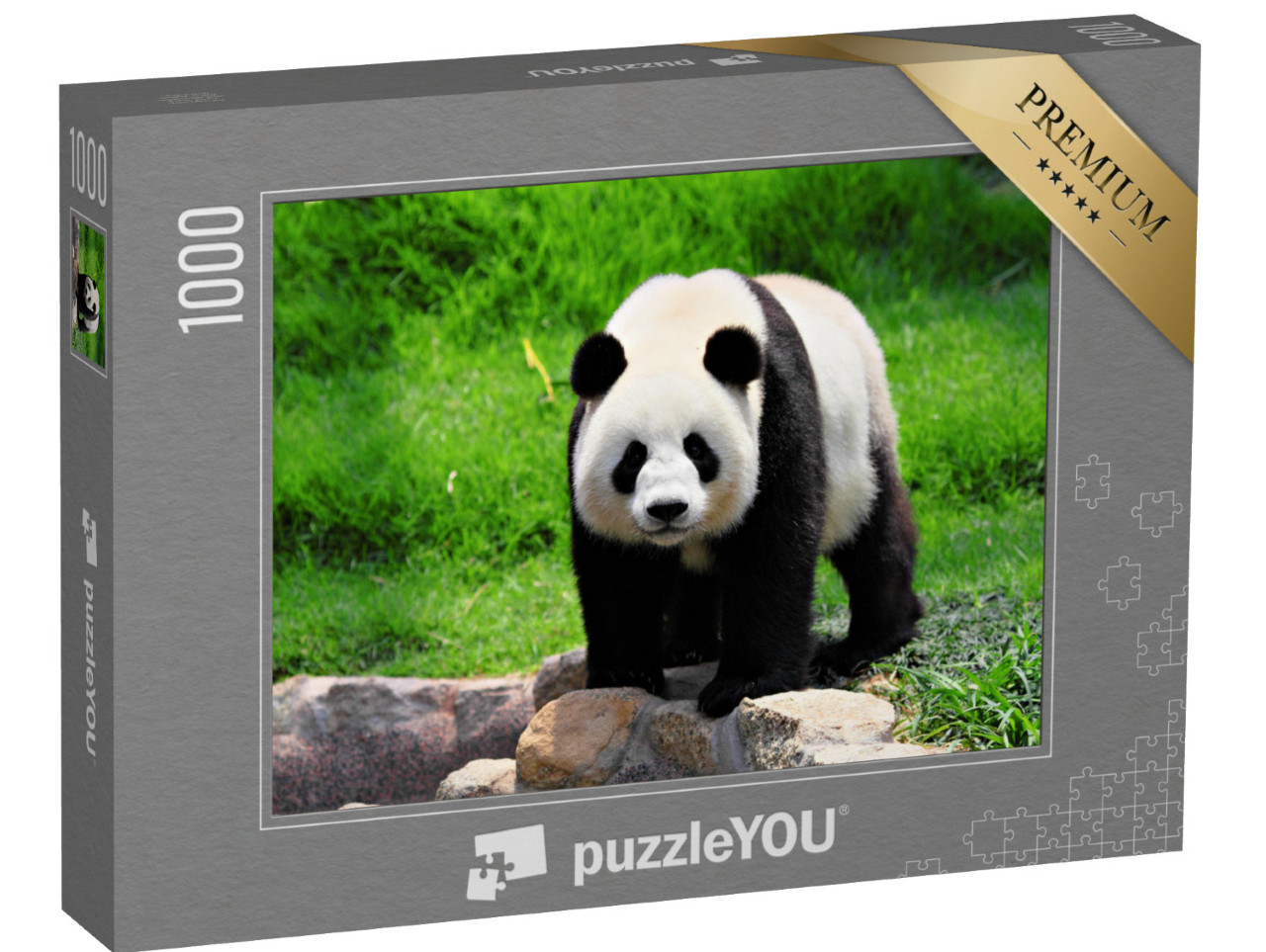 Puzzle 1000 pezzi „Panda“