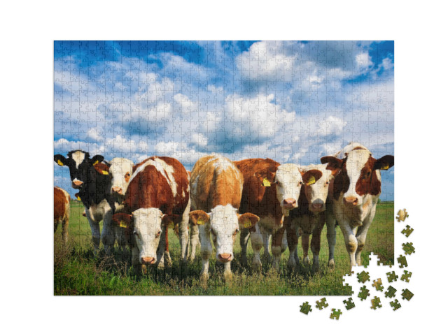 Puzzle 1000 pezzi XXL „Mucche su un verde prato estivo“