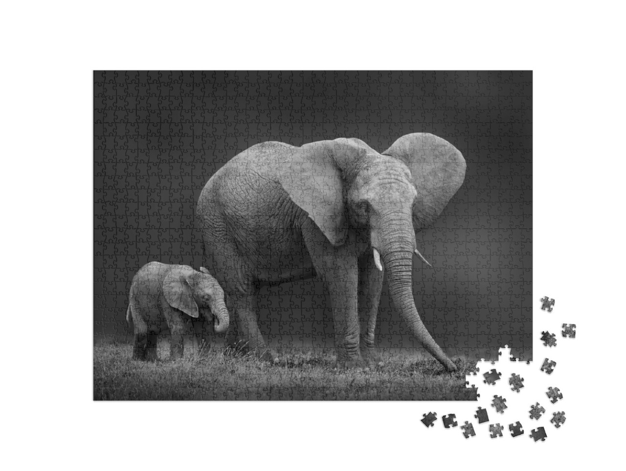 Puzzle 1000 pezzi „Madre e figlio di elefante africano“