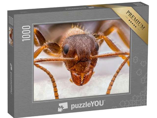 Puzzle 1000 pezzi „Primo piano di una piccola formica rossa“