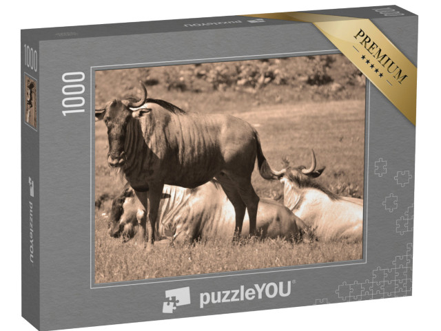 Puzzle 1000 pezzi „Gnu a riposo nella savana“