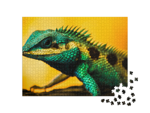 Puzzle 1000 pezzi „Lucertola drago d'acqua“