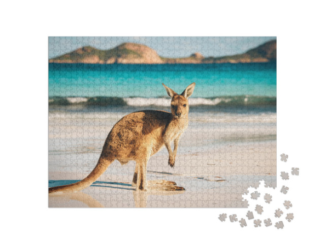 Puzzle 1000 pezzi „Canguro, Lucky Bay, Parco Nazionale di Cape Le Grand, Australia“