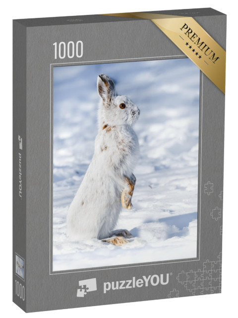 Puzzle 1000 pezzi „Lepre attenta sulla neve“